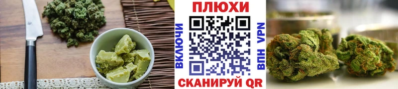 мега онион  Зеленодольск  Cannafood марихуана 